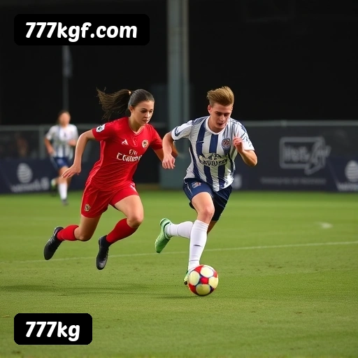 Guia visual quadrado da instalação APK 777kg